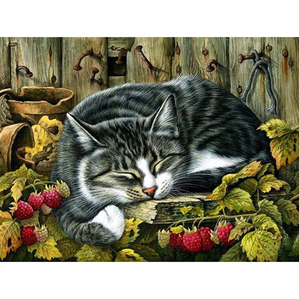 Cat Full Drill-Diamond Painting – rainbowdiamondpainting