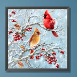 Red Linnet On The Branch-Full Round Diamond Painting-30x30cm