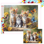 Cat-Full Square Diamond Painting-40x30cm