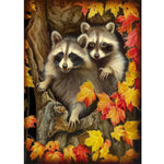 Raccoon - Full Drill Diamond Painting