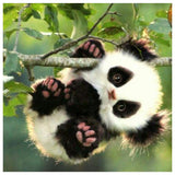 Lovely Panda - Full Drill Diamond Painting