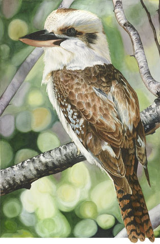 kookaburras -Round/Square Diamond Painting