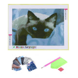 Blue Eye Cat Full Drill-Diamond Painting