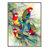 Bird Full Round DrillDiamond Painting