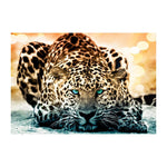 Leopard Full Drill-DIY Diamond Painting