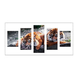 5pcs/set 2 Tigers - Full Drill Round Drill Painting - 95x45cm