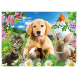 Cute Animals-Full Drill Diamond Painting