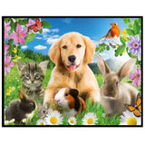 Cute Animals-Full Drill Diamond Painting