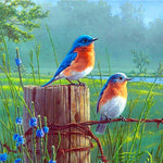 5D DIY Full Drill Diamond Painting Standing Birds