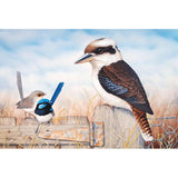 Kookaburra & Wrens Full Round Diamond Painting