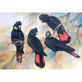 Black Cockatoos（40X30cm）-Full Drill Round Drill-Diamond Painting