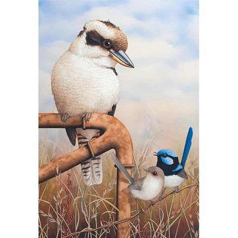 Kookaburra And Wrens-40x50cm Full Drill Round Drill Diamond Painting-preorder(10 days preparing)