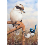 Kookaburra And Wrens-50x70cm Full Drill Round Drill Diamond Painting-preorder(10 days preparing)