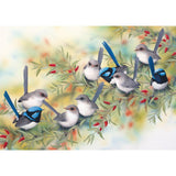 Blue Wrens-40x50cm Full Drill Round Drill Diamond Painting-preorder(10 days preparing)