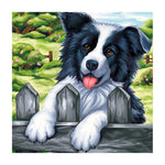 Dog DIY Full Drill Diamond Painting