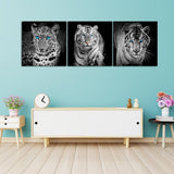 3pcs/set Animals - Full Square Diamond Painting - 80x30cm