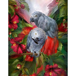 Parrots Birds-Full Drill Diamond Painting