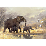 Elephants   - Full Drill Diamond Painting