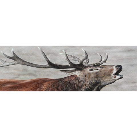 Deer Head  - Full Drill Round Drill Painting - 80x30cm