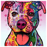 Color Dog Square Full Drill 5D DIYDiamond Painting