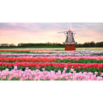 Windmill Flowers-Full Drill Diamond Painting