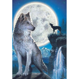 Night Wolf-Full Drill Diamond Painting