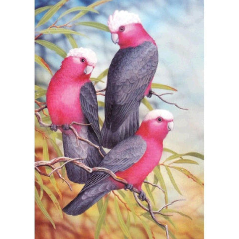 Parrots-50x70cm Full Drill Round Drill Diamond Painting-preorder(10 days preparing)