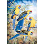 Yellow parrots（40X30cm）-Full Drill Round Drill-Diamond Painting