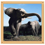 Elephant Full Drill-Diamond Painting