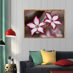 Flower-Full Drill Diamond Painting