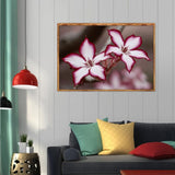 Flower-Full Drill Diamond Painting