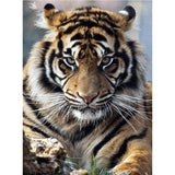 Tiger-Full Drill Diamond Painting