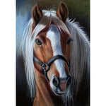 Horse Full Drill-Diamond Painting