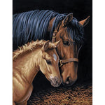 Horse Full Drill-Diamond Painting