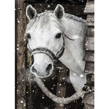 Horse Full Drill-Diamond Painting