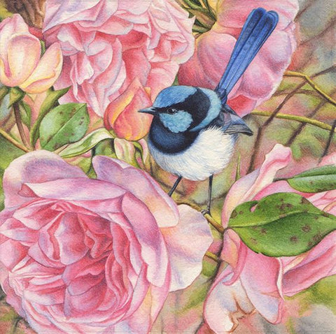 Blue wren -Round/Square Diamond Painting