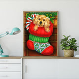 Santa Claus Animal-Full Drill Diamond Painting