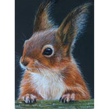 Squirrel-Full Drill Diamond Painting