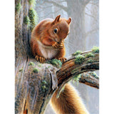 Squirrel-Full Drill Diamond Painting