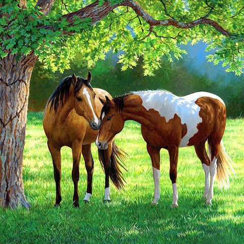 Horse - Full Drill Diamond Painting