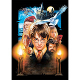 Harry Potter - Full Diamond Painting - 30x40cm