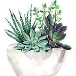 Succulent Plant  - Full Drill Diamond Painting