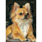 Dog - Full Drill Diamond Painting