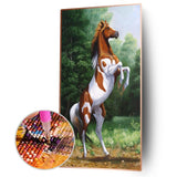 Active Horse - Full Drill Round Drill - 45x85cm