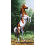 Active Horse - Full Drill Round Drill - 45x85cm