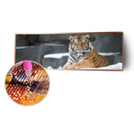 Tiger Animal Kid - Full Drill Round Drill - 80x30cm