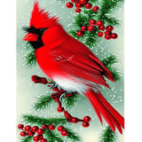 North American Cardinal - Full Drill Diamond Painting