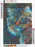 Cat-Full Round Diamond Painting 30*40cm