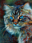 Cat-Full Round Diamond Painting 30*40cm