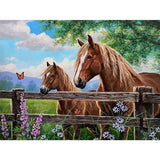 Horse-Full Round Diamond Painting-40x30cm